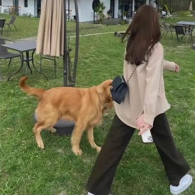 柔伊